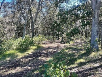 Terreno en Venta, Villa del Carbón, 40 ha