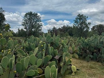 TERRENO INDUSTRIAL / COMERCIAL EN VENTA EN AXAPUSCO / ZONA OTUMBA