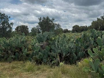 TERRENO INDUSTRIAL / COMERCIAL EN VENTA EN AXAPUSCO / ZONA OTUMBA