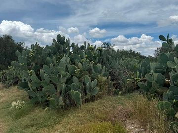 TERRENO INDUSTRIAL / COMERCIAL EN VENTA EN AXAPUSCO / ZONA OTUMBA