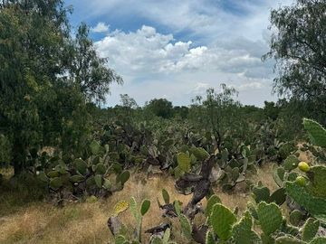 TERRENO INDUSTRIAL / COMERCIAL EN VENTA EN AXAPUSCO / ZONA OTUMBA