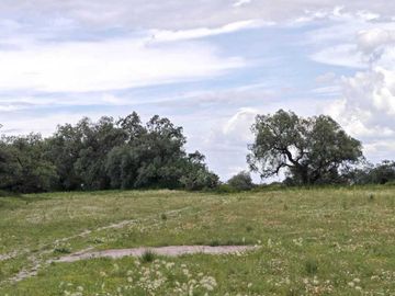 TERRENO EN VENTA ZUMPANGO