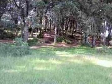 TERRENO EN VENTA JILOTEPEC