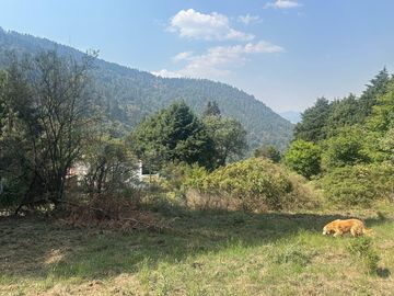 Terreno en Venta a pie de carretera, zona La Marquesa, Huixquilucan, Edo Mex