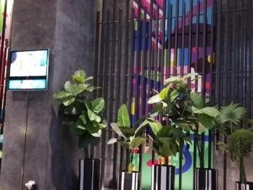 Disewakan Apartemen Collins Boulevard Serpong Tipe Studio