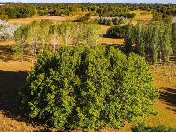 Venta lote interno Azzurra Sector 1 Pilar