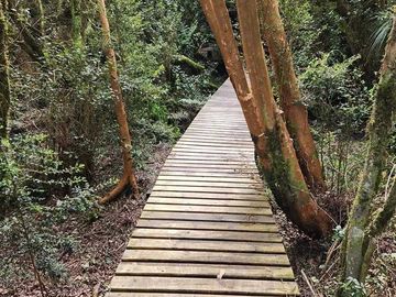 Parcela en venta  en PUERTO VARAS