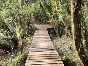Parcela en venta  en PUERTO VARAS