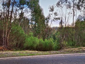 Parcela en venta  en HUALQUI