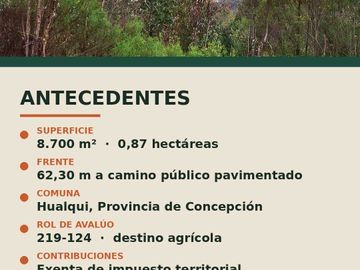 Parcela en venta  en HUALQUI