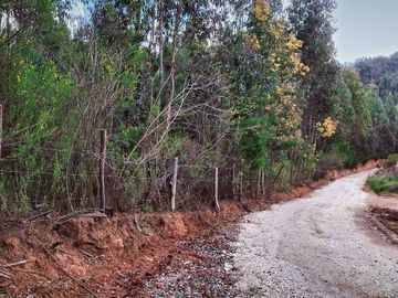 Parcela en venta  en HUALQUI