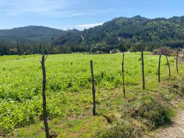OPORTUNIDAD EN CONCEPCIÓN, VENTA PARCELA 10000M2