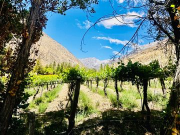 MARAVILLOSO TERRENO EN ALCOHUAZ