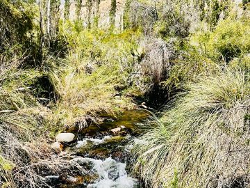 MARAVILLOSO TERRENO EN ALCOHUAZ