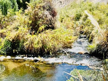 MARAVILLOSO TERRENO EN ALCOHUAZ