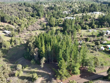 EN VENTA TERRENO AGRÍCOLA LAS ÑIPAS, YUMBEL  12,43 HA