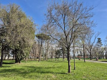 Terreno Interno en Almahue, Pilar