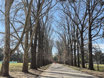 Terreno interno en Almahue, Pilar