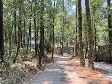 Terreno en venta en San Simón el Alto, Valle de Bravo, México