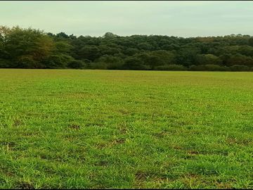 Inversión en Terreno: Refugio Natural en Vilcún