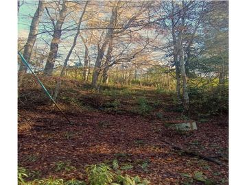 Inversión en Terreno: Refugio Natural en Vilcún