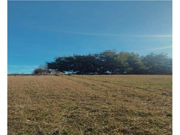 Inversión en Terreno: Refugio Natural en Vilcún