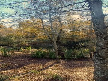 Inversión en Terreno: Refugio Natural en Vilcún