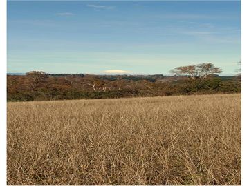 Inversión en Terreno: Refugio Natural en Vilcún