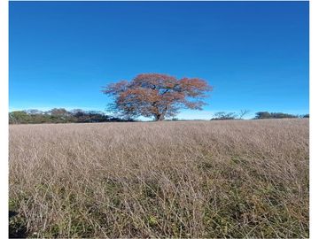 Inversión en Terreno: Refugio Natural en Vilcún