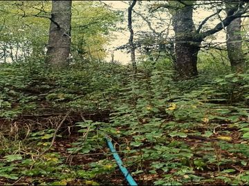 Inversión en Terreno: Refugio Natural en Vilcún