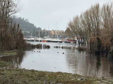 VENTA DEPARTAMENTO EN LA POZA DE PUCON