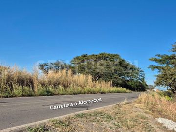 Se vende 11.4 Hectáreas en Buenavista, Cuauhtémoc, Colima