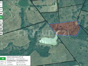 Se vende 11.4 Hectáreas en Buenavista, Cuauhtémoc, Colima