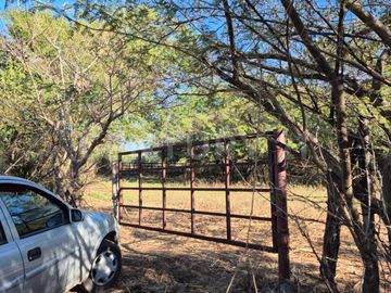 Se vende 11.4 Hectáreas en Buenavista, Cuauhtémoc, Colima