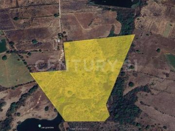 Se vende 11.4 Hectáreas en Buenavista, Cuauhtémoc, Colima