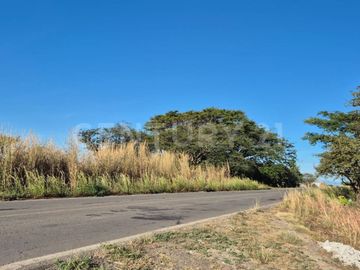 Se vende 11.4 Hectáreas en Buenavista, Cuauhtémoc, Colima