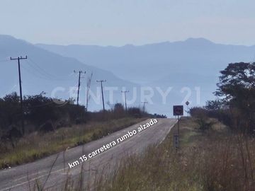 Se vende 11.4 Hectáreas en Buenavista, Cuauhtémoc, Colima