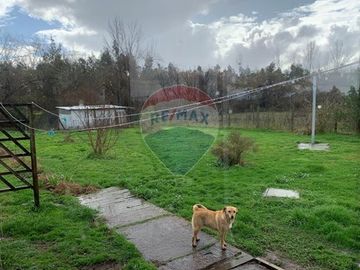 OPORTUNIDAD PRECIO REBAJADO GRAN PARCELA 2,6 HA,