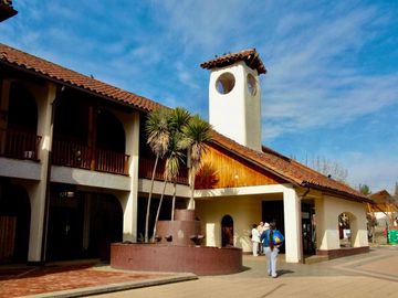 MACHALI, AV VALLE ORIENTE 911, VALLE NOGALES, 6D 3B