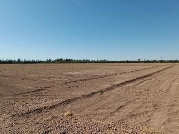 Lotes en venta Bª Ancellota-San Martín - Mendoza