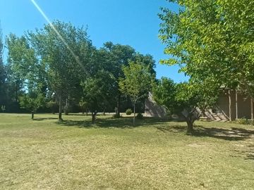 Lotes en venta Bª Ancellota-San Martín - Mendoza