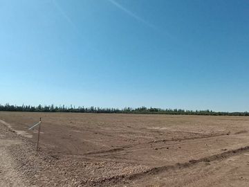 Lotes en venta Bª Ancellota-San Martín - Mendoza