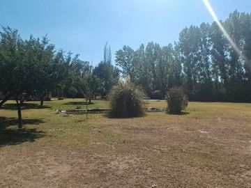 Lotes en venta Bª Ancellota-San Martín - Mendoza