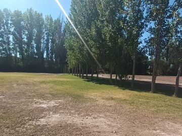 Lotes en venta Bª Ancellota-San Martín - Mendoza