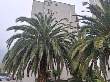 Departamento en arriendo  en HUECHURABA