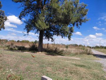 TERRENO EN VENTA MANZANARES PILAR 5 HA INVERSORES