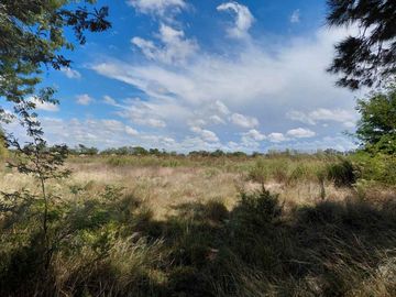 TERRENO EN VENTA MANZANARES PILAR 5 HA INVERSORES