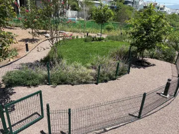 Departamento en renta en Residencial Dinastía, Monterrey, Nuevo León