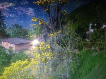Finca en venta en Amaga