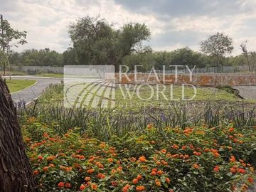 Terreno en Venta en CENTRO DE MONTEMORELOS, Montemorelos
